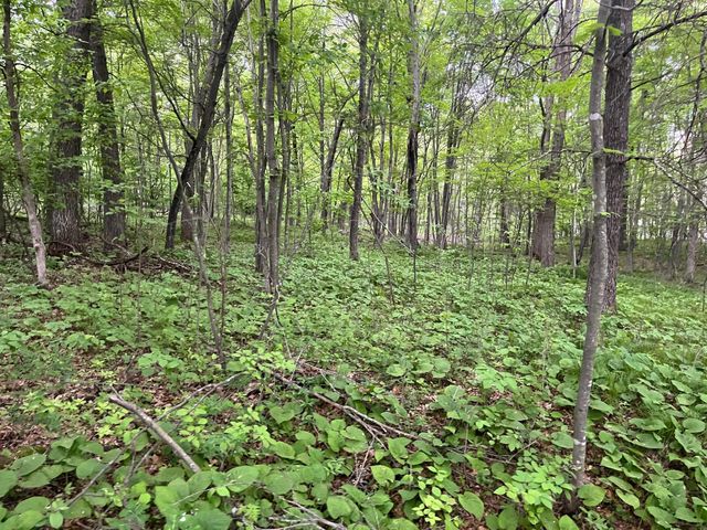 xxx Crust Road, Brainerd, MN 56401