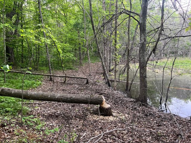 xxx Crust Road, Brainerd, MN 56401