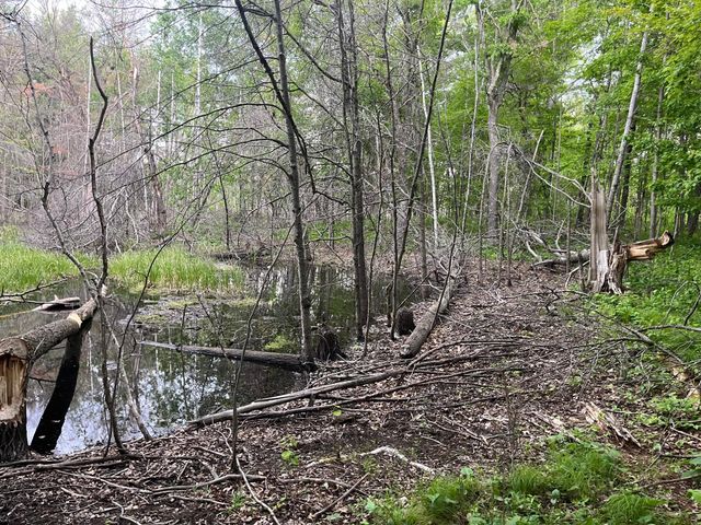 xxx Crust Road, Brainerd, MN 56401