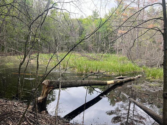 xxx Crust Road, Brainerd, MN 56401