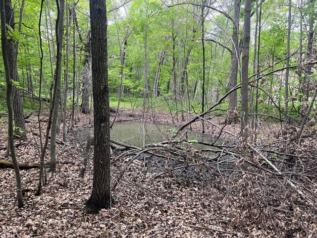 xxx Crust Road, Brainerd, MN 56401