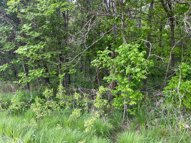 xxx Crust Road, Brainerd, MN 56401