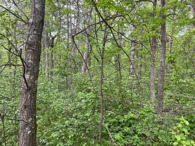 xxx Crust Road, Brainerd, MN 56401