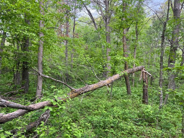 xxx Crust Road, Brainerd, MN 56401