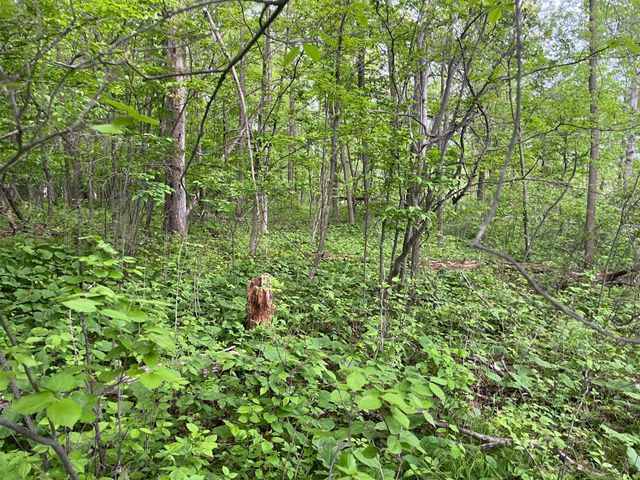 xxx Crust Road, Brainerd, MN 56401