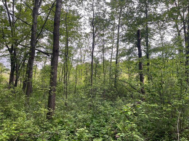 xxx Crust Road, Brainerd, MN 56401