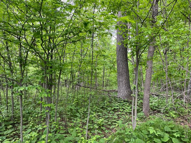 xxx Crust Road, Brainerd, MN 56401