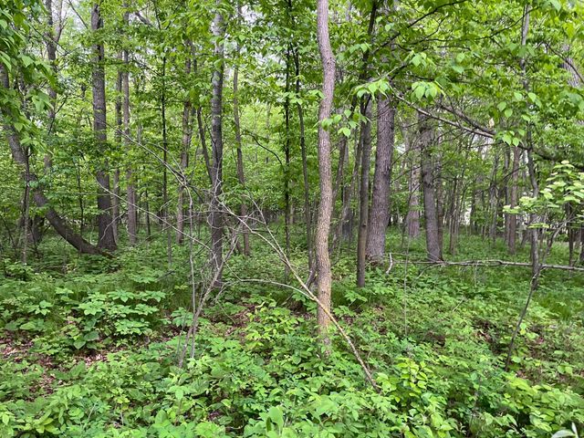 xxx Crust Road, Brainerd, MN 56401