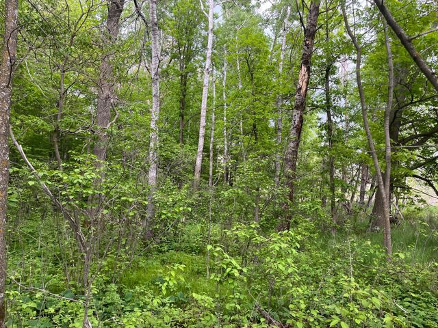 xxx Crust Road, Brainerd, MN 56401