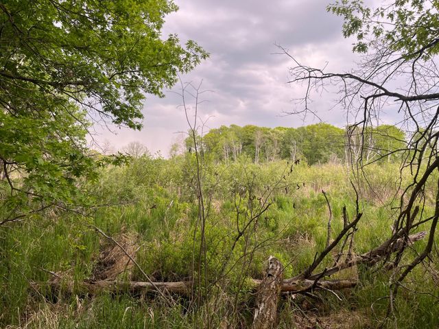 xxx Crust Road, Brainerd, MN 56401