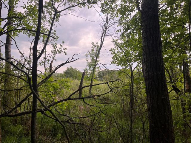 xxx Crust Road, Brainerd, MN 56401