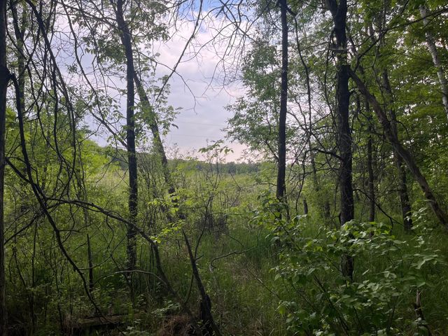 xxx Crust Road, Brainerd, MN 56401