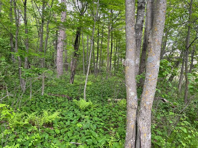 xxx Crust Road, Brainerd, MN 56401