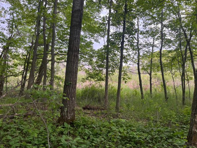 xxx Crust Road, Brainerd, MN 56401