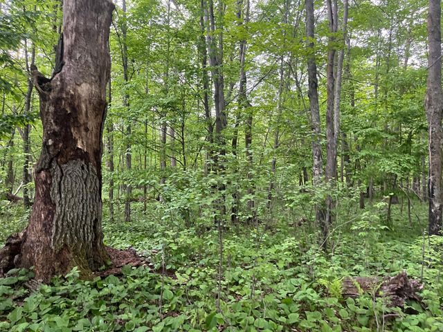 xxx Crust Road, Brainerd, MN 56401