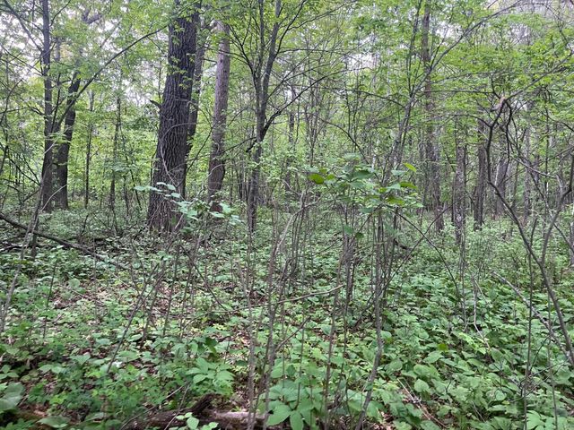 xxx Crust Road, Brainerd, MN 56401