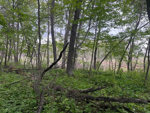 xxx Crust Road, Brainerd, MN 56401