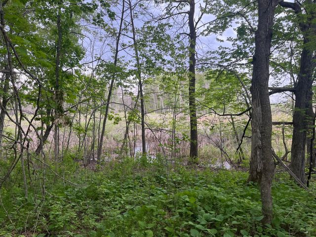 xxx Crust Road, Brainerd, MN 56401