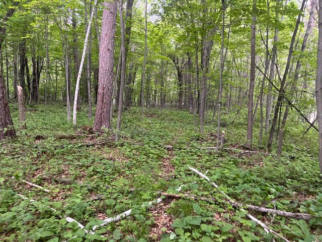 xxx Crust Road, Brainerd, MN 56401