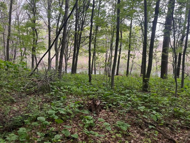 xxx Crust Road, Brainerd, MN 56401