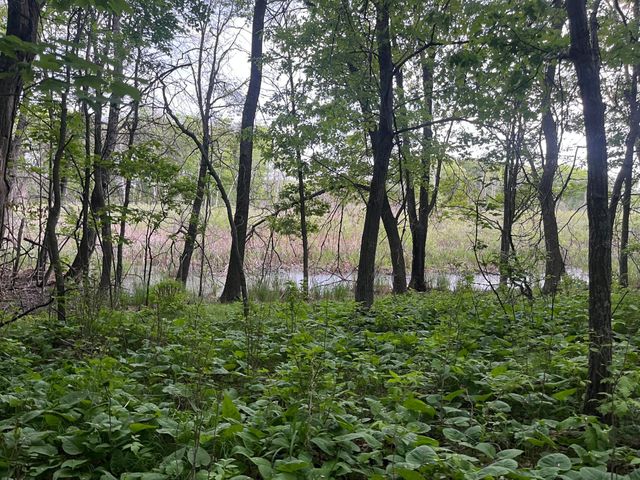 xxx Crust Road, Brainerd, MN 56401