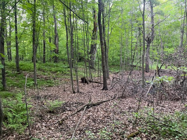 xxx Crust Road, Brainerd, MN 56401