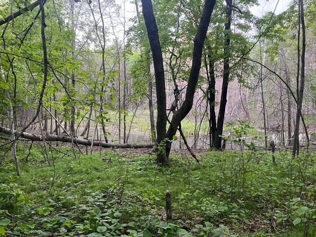 xxx Crust Road, Brainerd, MN 56401