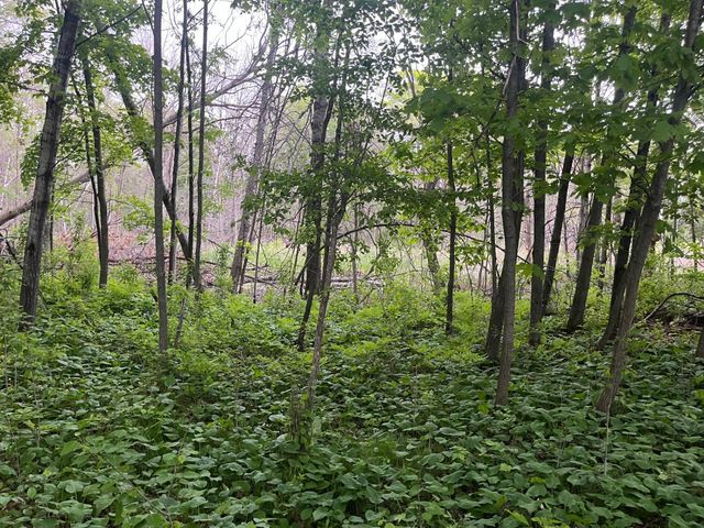 xxx Crust Road, Brainerd, MN 56401