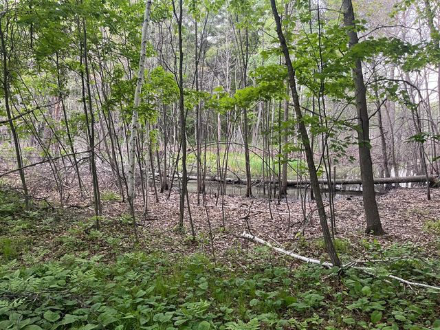 xxx Crust Road, Brainerd, MN 56401