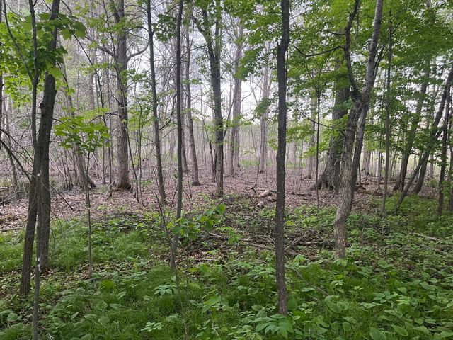 xxx Crust Road, Brainerd, MN 56401