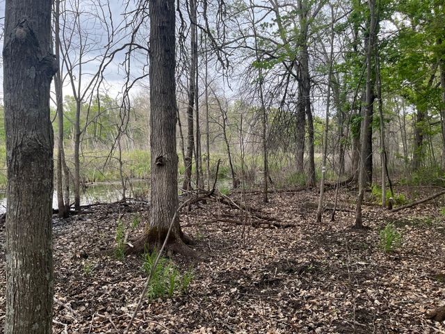 xxx Crust Road, Brainerd, MN 56401