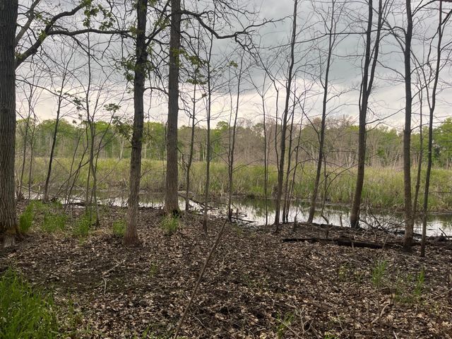 xxx Crust Road, Brainerd, MN 56401