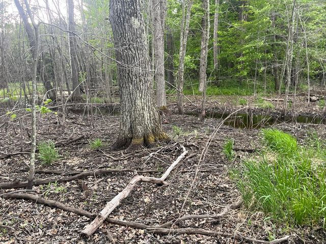 xxx Crust Road, Brainerd, MN 56401