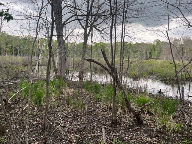 xxx Crust Road, Brainerd, MN 56401