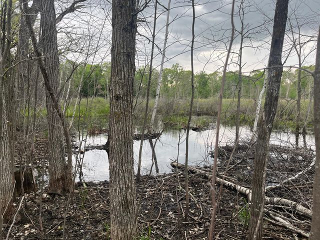 xxx Crust Road, Brainerd, MN 56401