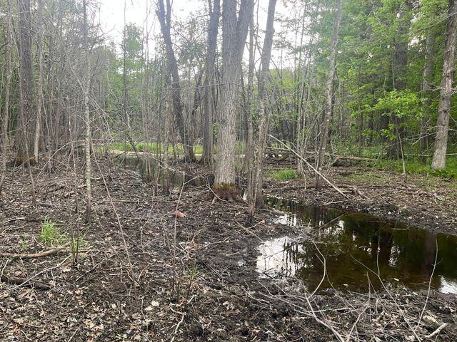 xxx Crust Road, Brainerd, MN 56401