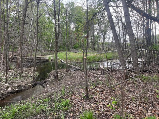 xxx Crust Road, Brainerd, MN 56401