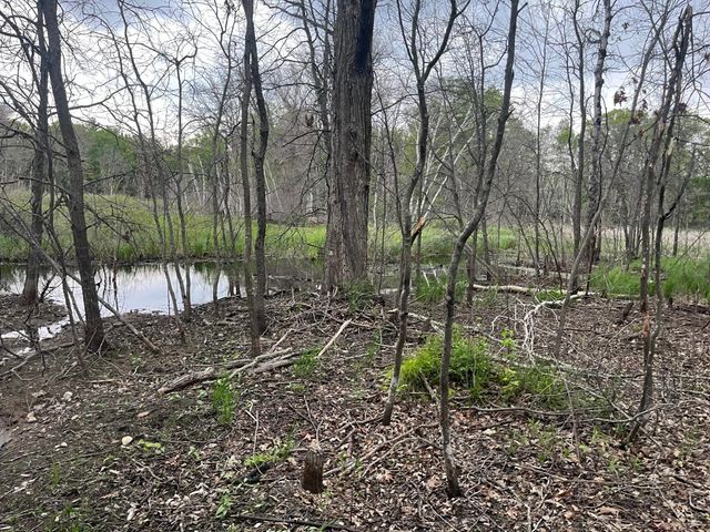 xxx Crust Road, Brainerd, MN 56401