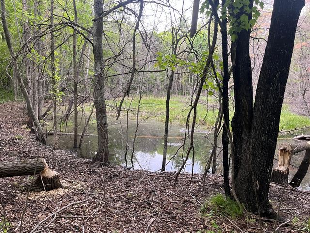 xxx Crust Road, Brainerd, MN 56401