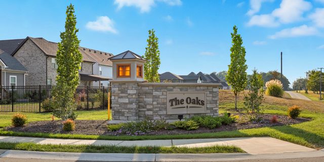 459 Spiderwort Dr, Clarksville, TN 37043