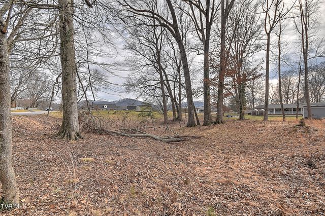 Tbd Pamela Court, Blountville, TN 37617