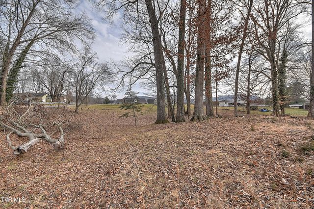 Tbd Pamela Court, Blountville, TN 37617