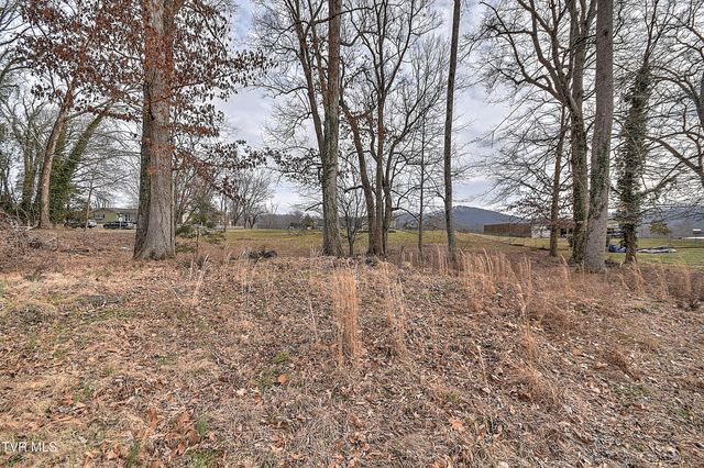 Tbd Pamela Court, Blountville, TN 37617