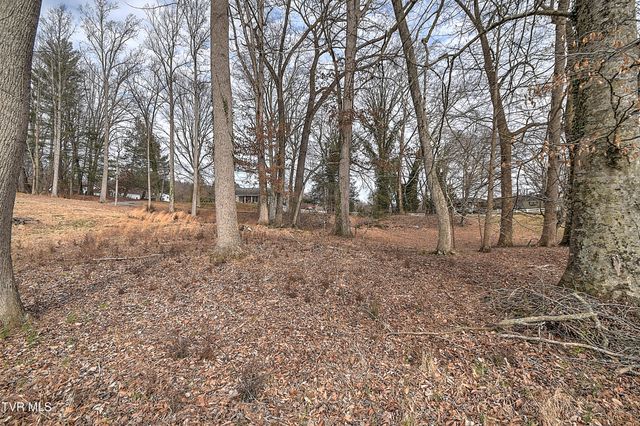 Tbd Pamela Court, Blountville, TN 37617