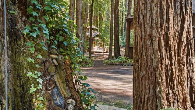 41 Back Road, La Honda, CA 94020