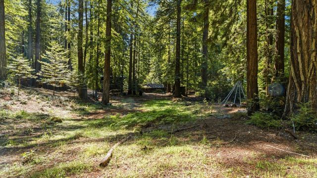 41 Back Road, La Honda, CA 94020