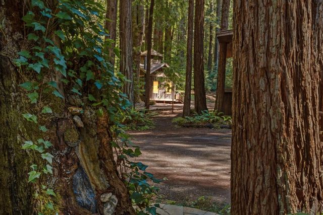 41 Back Road, La Honda, CA 94020