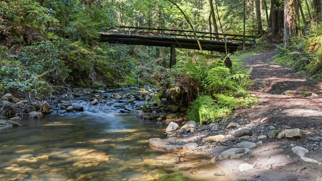 41 Back Road, La Honda, CA 94020