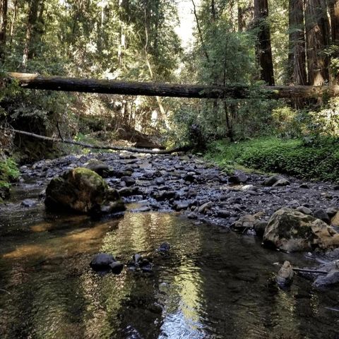 41 Back Road, La Honda, CA 94020