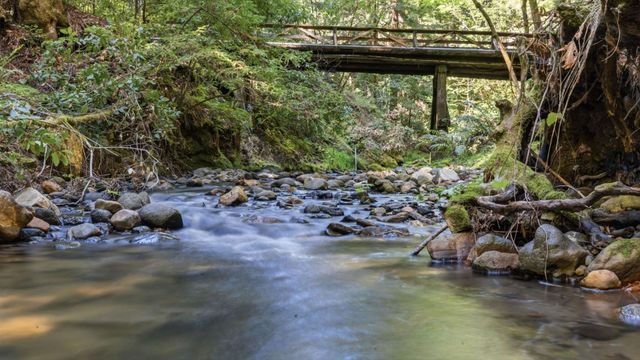 41 Back Road, La Honda, CA 94020